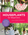 Houseplants for Beginners: a Simple Guide for New Plant Parents for Making Houseplants Thrive (New Shoe Press)