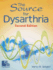 The Source for Dysarthria