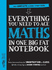 Everything You Need to Ace Maths in One Big Fat Notebook: the Complete School Study Guide: 1 (Big Fat Notebooks)