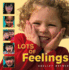 Lots of Feelings (Shelley Rotner's Early Childhood Library)