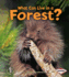 What Can Live in a Forest? (First Step Nonfiction Animal Adaptations)