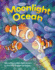 Moonlight Ocean (Lightbeam Books)