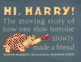 Hi, Harry!: The Moving Story of How One Slow Tortoise Made a Friend