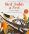 Bird Builds a Nest: a First Science Storybook (Science Storybooks)