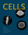 Cells