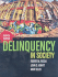Delinquency in Society, Eighth Edition