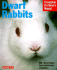 Dwarf Rabbits (Barron's Complete Pet Owner's Manual)