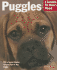 Puggles: Everything About Purchase, Care, Nutrition, Behavior, and Training