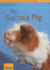 My Guinea Pig (My Pet (Barron's)) (My Pet Series)