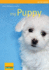 My Puppy (My Pet Series)