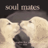Soul Mates: Love's Magic Moments