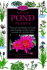 Popular Pond Plants
