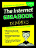 The Internet Gigabook for Dummies [With Stickers]