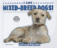 I Like Mixed-Breed Dogs! (Discover Dogs With the American Canine Association)