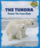 The Tundra: Discover This Frozen Biome (Discover the World's Biomes)