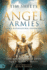 Angel Armies: The Angel Gate is Open: Signs, Wonders, and Miracles