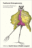 Feathered Entanglements: Human-Bird Relations in the Anthropocene