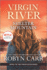 Shelter Mountain: a Virgin River Novel (a Virgin River Novel, 2)