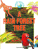 A Rain Forest Tree