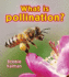 What is Pollination? : Vol 13