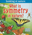 What is Symmetry in Nature? (Looking at Nature)