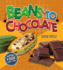 Beans to Chocolate (Where Food Comes From)