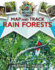 Map and Track Rain Forests (Map and Track Biomes & Animals)