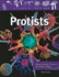 Protists: Algae, Amoebas, Plankton, and Other Protists (a Class of Their Own)