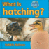 What is Hatching? (My World-Grl E)