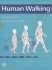 Human Walking