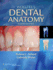 Woelfel's Dental Anatomy-Oe