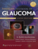 Shields Textbook of Glaucoma (Allingham, Shields' Textbook of Glaucoma)