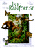 Into the Rainforest: One Book Makes Hundreds of Pictures of Rainforest Life (the Ecosystems Xplorer)