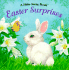 Easter Surprises: a Hide-Away Book