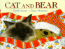 Cat and Bear