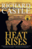 Heat Rises (Nikki Heat)