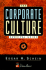 The Corporate Culture Survival Guide (JB Us NonFranchise Leadership)