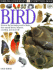 Eyewitness: Bird