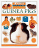 Guinea Pigs