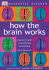 How the Brain Works