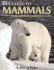 Dk Guide to Mammals