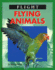 Flying Animals (Flight)