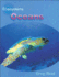 Oceans (Ecosystems)