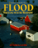 Flood