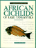 African Cichlids of Lake Tanganyika