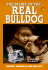 The Story of the Real Bulldog
