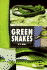 Green Snakes (Herpetology Series)