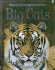 Big Cats: Internet Linked (Discovery Program)