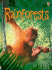 Rainforests (Usborne Beginners Level 1: Nature)