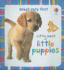 Little Book of Little Puppies (Baby's Very First)